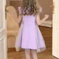 thumbnail image 3 of LOVZFMLL Girls' Summer Short Sleeve Ruffled Lace Round-Neck Embroidery Mesh Princess Bow Skirt, 3 of 4