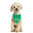 thumbnail image 1 of Agiferg Bandanas pour Chien de la Saint-Patrick Foulard pour Chien Trèfle Foulard Verte Lavable, 1 of 2