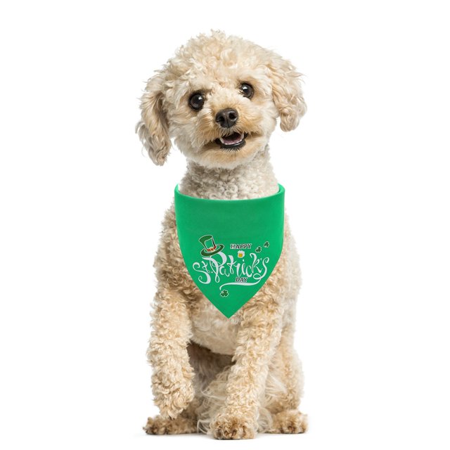 Agiferg Bandanas pour Chien de la Saint-Patrick Foulard pour Chien Trèfle Foulard Verte Lavable