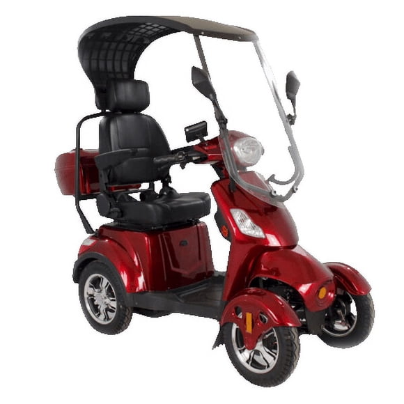 All-Terrain 4 Wheel Electric Scooter with Regular Tire Canopy | Explore Luxuryton X-1000's Camera-Roof Option