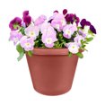 thumbnail image 5 of The HC Companies 12 Inch Plastic Outdoor Classic Flower Pot Planter, Terra Cotta, 5 of 5