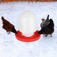 thumbnail image 3 of Automatic Poultry Water Feeder Chicken Waterer Bucket Dispenser for Birds Hens, 3 of 3