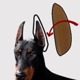 thumbnail image 2 of Autocollant pour Animaux de Compagnie Français Allemand Support Fixe 6x3cm, 2 of 8