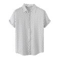 thumbnail image 1 of RKSTN Chemise pour Homme Plage Hawaïenne Décontractée Chemise à Pois Col Rabattu Blouse à Manches Courtes Hauts, 1 of 9