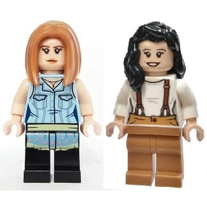 LEGO Friends: Rachel Vert et Monico Geller