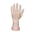 thumbnail image 2 of Bunblic Hand Model Jokes Toy Lifelike,Photo Props,Fake Hand Mannequin Hand for Cosplay Decoration Jewelry Display Party Nail Training skin, 2 of 8