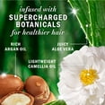 thumbnail image 3 of Herbal Essences Repair + Strength Argan Oil Conditioner, Paraben-Free, 400ml, 3 of 13