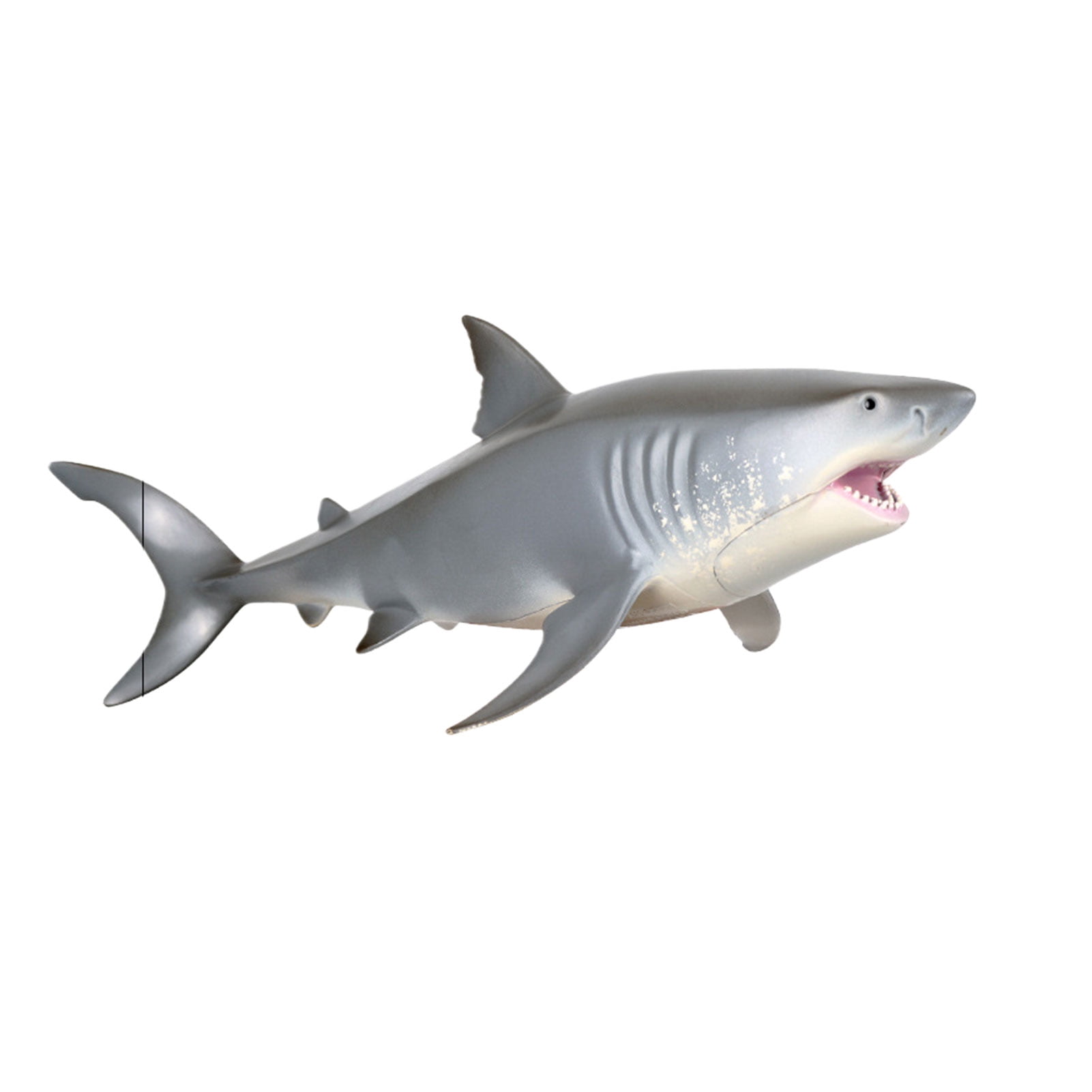 Wweixi Marine Shark For Kids And Models Durable Simulation Shark Toy Shark Marine Models Toys Model For Playtime Marine SHARK