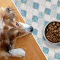 thumbnail image 1 of SussexHome Pets Ultra-Thin Cat and Dog Litter Mat for Litter Box - Washable Soft Natural Cotton Cat and Dog Litter Trapping Mat - Paws-Kind Slip Resistant Litter Catching Mat, 1 of 6