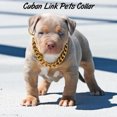 thumbnail image 4 of Cuban Link Thick Golden Chain Dog Cat Pets Safety Collar, 4 of 9