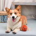 thumbnail image 2 of Hugsmart Ham Dog Ball Toy, 2 of 9