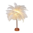 thumbnail image 2 of UsRHHA Feather Table Lamp Battery Operated LED, Bedside Night Light for Bedroom Living Room Party Wedding Centerpiece, Decorative Ambient Lamp, 2 of 7