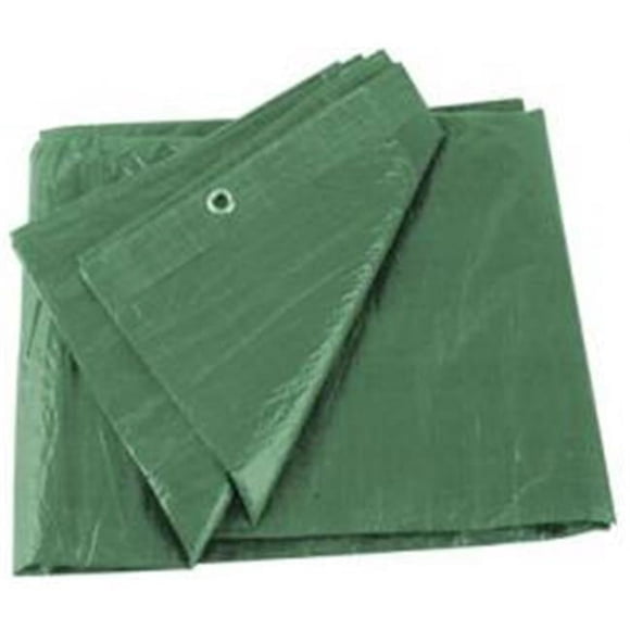 Polytuf Brands PYA16X20 Bâche 16 X 20 Robuste Verte