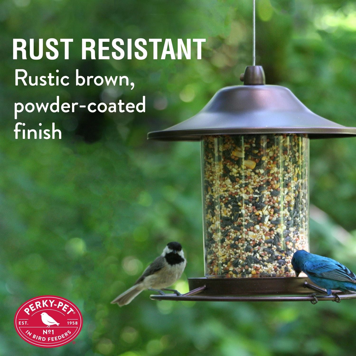 Perky-Pet 2 lb Small Panorama Wild Bird Feeder