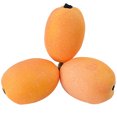 thumbnail image 1 of Coofit Faux Fruit Simulated Loquat Decorative Foam Artificial Fruit Fake Fruit Prop, 1 of 8