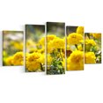 thumbnail image 2 of Fleurs de Souci Jaune Vif - Impression Artistique sur Toile Florale, 2 of 3