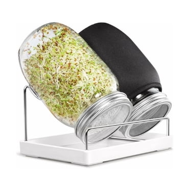 Sprouting Kit, Versatile Seeds & Easy Sprouting: Grow Healthy Broccoli, Alfalfa Seeds, Mung Beans in Stainless Steel Stand, Complete Jar Set for Your Kitchen Counter