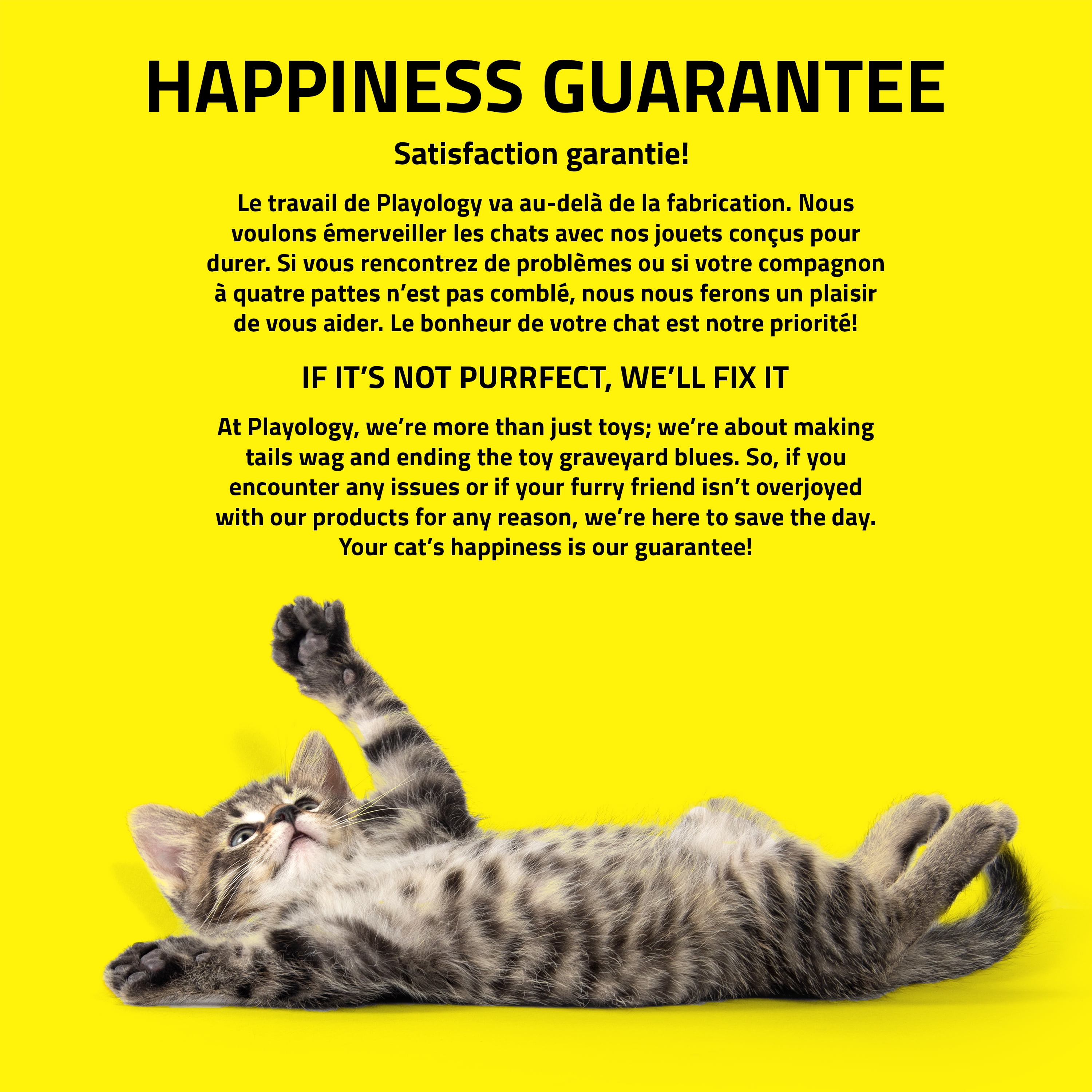Playology mille-pattes jouet pour chat