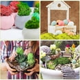 thumbnail image 3 of Potted Garden Product Turntable compatible with Motorized Photography Photo Props Birthday Background Paper for Video Portable Light for Photography for Phone Photographer 5x5, 3 of 3