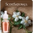 thumbnail image 1 of D'huile parfumée Scentsationals - Ambiance douillette, 1 of 6