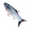 thumbnail image 4 of Electric Moving Fish Pet Toy Realistic Plush Simulation Wagging Fish Pet Kicker Toys Funny Interactive Pets, 4 of 9