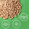 thumbnail image 2 of Arm & Hammer Feline Pine Non-Clumping Natural Cat Litter, 9.07 kg, 2 of 6