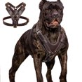 thumbnail image 1 of Hexplore Heavy Duty Genuine Leather Dog Harness Adjustable for Large Dogs Pitbull Rottweiler High Quality, 1 of 18