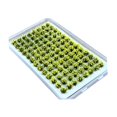 thumbnail image 4 of jifeng Artificial DIY Miniature Flower Cluster Grass Tufts Diorama Layout Scenery Model Light Yellow, 4 of 9