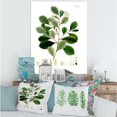 thumbnail image 1 of Designart Vintage Botanicals IV Canvas Wall Art, 1 of 4