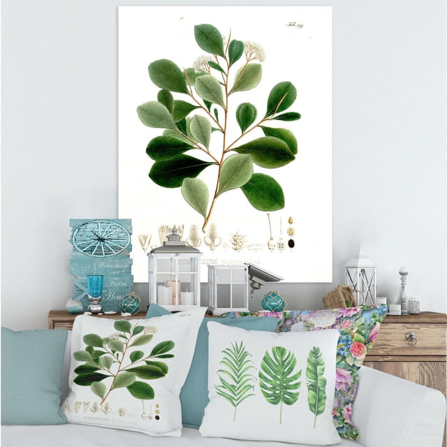 Designart Vintage Botanicals IV Canvas Wall Art featuring a centered botanical illustration of green leaves with detailed plant parts on a white background, gallery-wrapped on premium cotton canvas. It is displayed above a wooden console with floral and botanical cushions and farmhouse décor, arriving ready to hang and easy to install.