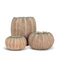 thumbnail image 2 of Abbott Petit Pot Bas en Forme de Citrouille – Pot en Ciment avec Fini Orange Rustique, 5,5 Po L – Jardinière à Thème Automnal pour Fleurs d'Automne Ou Déco Saisonnière, 2 of 5