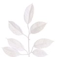 thumbnail image 5 of Vickerman FK221324 24 Po Gardenia Couronne Enneigée&44; Blanc, 5 of 5