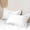 White, variant on Free Shipping Solid Color Pillowcase Pillow Core Set For Two Pairs Of Comfortable And Breathable Student Dormitory Pillow Case