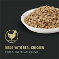 thumbnail image 5 of Purina Pro Plan Specialized Urinary Tract Health Chicken Entrée, Wet Cat Food 85 g, 5 of 5