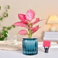 thumbnail image 4 of Living Room Tables Transparent Hydroponic Small Potted Plant Indoor Living Room Desktop Transparent Hydroponic Plastic Flowerpot Green Lover Essential Transpareneflower Pots Indoor, 4 of 6