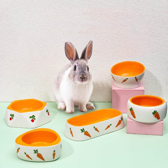thinsony Non Slip Rabbit Feeder Bowl Feeding Basin for Hedgehog Gerbils Puppy Kitten 8.5cmx6.5cm