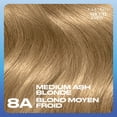 thumbnail image 3 of Clairol Nice'n Easy Permanent Hair Dye, 3 of 9