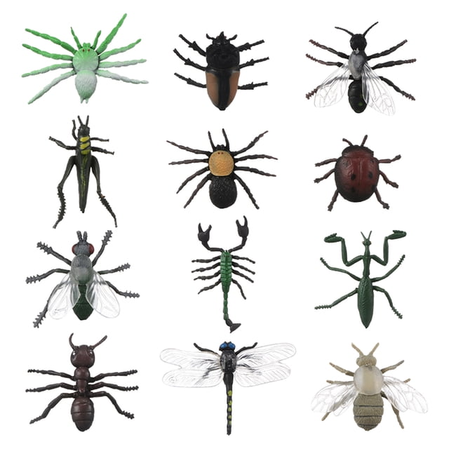 TIELUTT Assorted Lifelike Children Biology Science Diy Crafts for Kids Bulk Diy Crafts for Adults Bulk Kids Arts and Crafts Organizers and Storage Kids Arts and Crafts Table Diy Crafts for Adults Boo