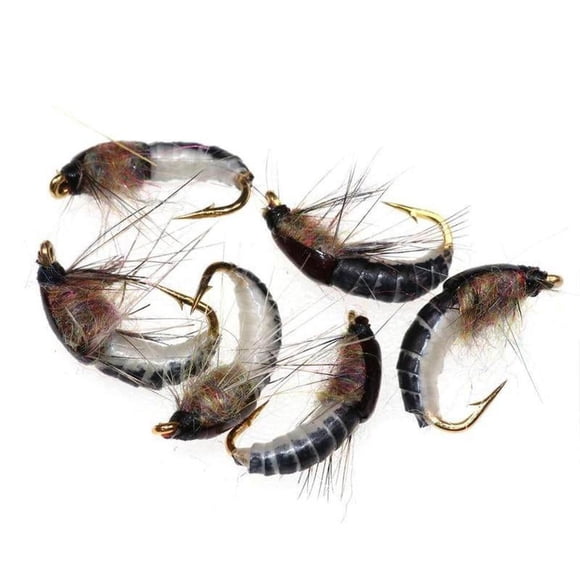 Pour Bimoo 6 Pcs 12 Nymphes Réalistes pour la Pêche à la Truite, Leurre Artificiel, Nymphe Insecte Caddis