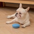 thumbnail image 5 of Riforla Dog Food Leaker Squeaky Dog Toy Pet Educational Gnawing Toy Interactive Pet Supplies Helps Dog Pet Toys A 11cm, 5 of 5