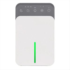 Air Dehumidifier Portable Mute Moisture Absorbers Machine Air Dryer for Home Bedroom Office Kitchen Deodorizer Dryer US,1 * dehumidifier set 1 * adapter,White