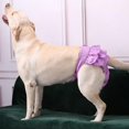thumbnail image 2 of Washable Dog Diapers | Reusable Dog Diapers | Washable Female Dog Diapers | Cloth Dog Diapers for Dogs in Heat, or Dog Incontinence Diapers, gray, XXL, 2 of 6