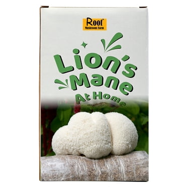 Trousse de Croissance de Crinière de Lion (une Trousse), Bûche de 3,2 Livres