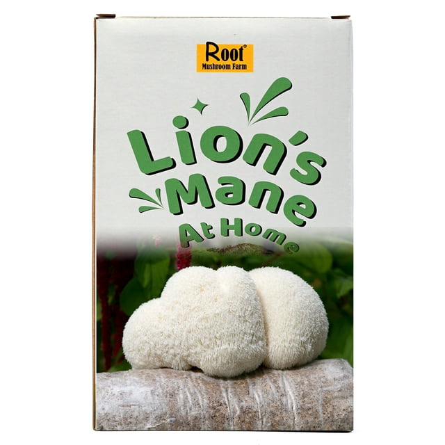 Lion's Mane Grow Kit (one kit), 3.2 Pound Log by Root Mushroom Farm. The packaging displays the text 'Lion's Mane At Home' in green font alongside an image of a mature Lion's Mane mushroom with long, dangling spines growing on a log substrate. Ideal for cultivating Hericium erinaceus mushrooms indoors or as part of a hydroponic grow kit setup.