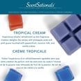 thumbnail image 3 of ScentSationals, Cubes de cire parfumés, Crème Tropicale, 3 of 4