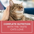 thumbnail image 2 of Cat Chow Complet au Vrai Saumon, Nourriture Sèche pour Chats 6.4kg, 2 of 8