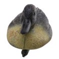 thumbnail image 4 of 5 Pieces Duck Hunting , Lifelike Floating Mallard Male Duck Decoy Decoying, 4 of 7