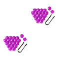 thumbnail image 2 of Maytalsory 20 Pieces Car Wheel Nut Caps Auto Hub Screw Cover Replacement Dust-proof Purple 17mm 2Set, 2 of 6