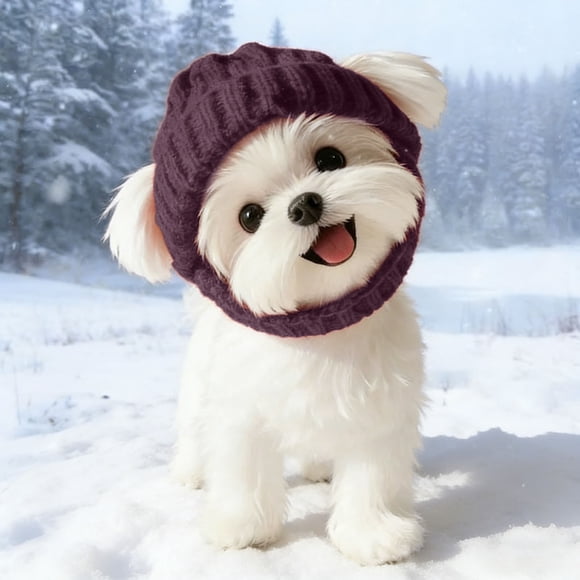 Adorable Winter Knit Hat For Small Dogs Cozy Warm Cap For Photoshoots And Cold Weather