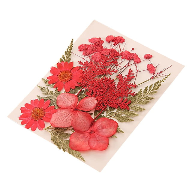 Vaidha Dried And Embossed Flowers For Resin Kit Candles And Crafts
